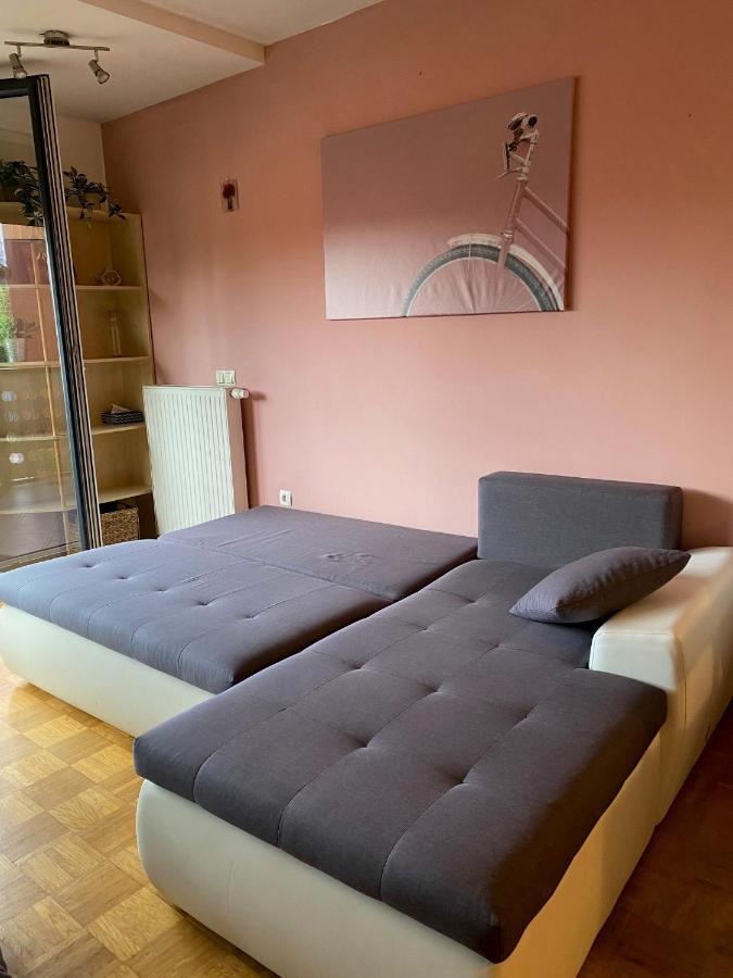 Apartma Felicija Laibach Exterior foto